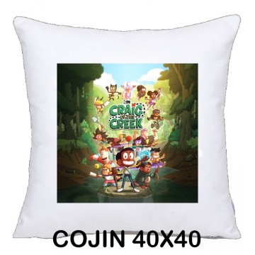 COJIN 40X40 CRAIG OF THE CREEK 2 DECORACION HOGAR REGALOS